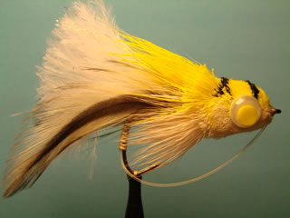 Yellow Diver Bug (6)